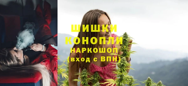 сатива Навашино