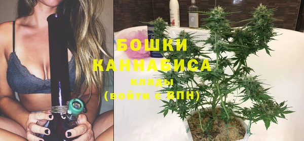 сатива Навашино