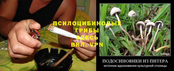 таблы Пересвет