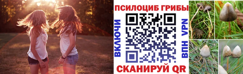 kraken как зайти  магазин    Межгорье  Псилоцибиновые грибы GOLDEN TEACHER 
